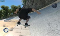 Skate 3