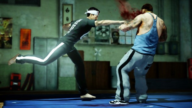 Sleeping Dogs