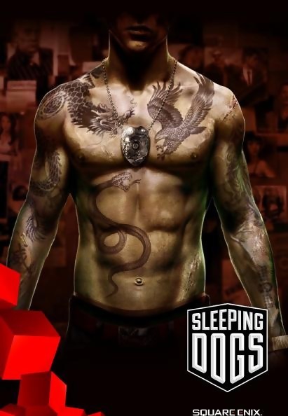 Sleeping Dogs