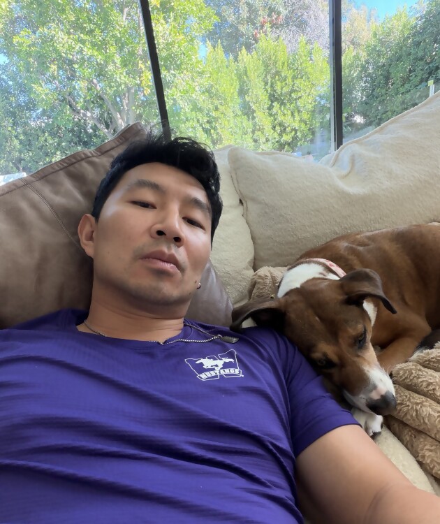 Sleeping Dogs