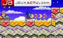 Sonic Advance 3