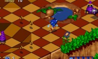 Sonic Mega Collection Plus
