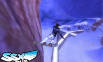 SSX Blur