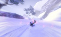 SSX Blur