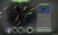 StarCraft 2 : Heart of The Swarm