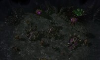 StarCraft 2 : Heart of The Swarm