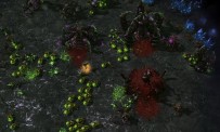 StarCraft 2 : Heart of The Swarm