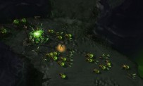 StarCraft 2 : Heart of The Swarm