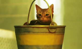 Stray : le jeu avec ce petit chat au sac à dos sera offert aux membres PS Plus