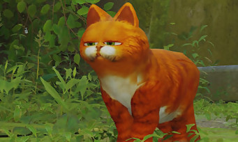 Stray : un mode permet de jouer avec Garfield le chat, c'est cro-mignon