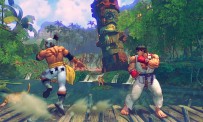 Street Fighter IV