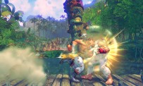 Street Fighter IV