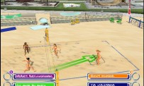 Summer Heat Beach Volleyball