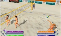 Summer Heat Beach Volleyball