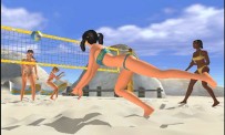 Summer Heat Beach Volleyball