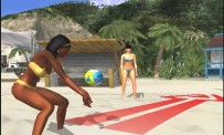 Summer Heat Beach Volleyball