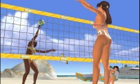 Summer Heat Beach Volleyball