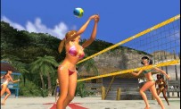 Summer Heat Beach Volleyball