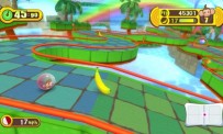 Super Monkey Ball : Step & Roll