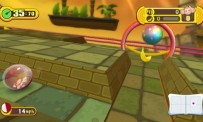 Super Monkey Ball : Step & Roll