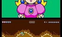 Super Princess Peach