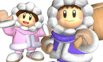 Super Smash Bros. 3DS : les Ice Climbers absents du jeu