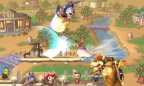 Super Smash Bros. Brawl