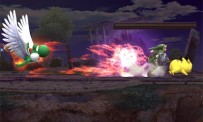 Super Smash Bros. Brawl