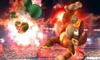 Super Smash Bros. Brawl