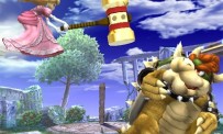 Super Smash Bros. Brawl