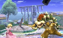 Super Smash Bros. Brawl