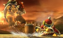 Super Smash Bros. Brawl