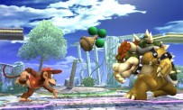 Super Smash Bros. Brawl