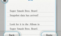 Super Smash Bros. Brawl