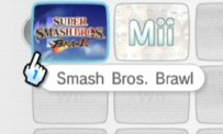 Super Smash Bros. Brawl