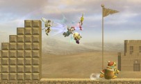 Super Smash Bros. Brawl