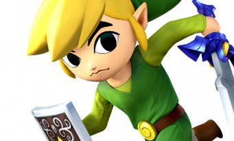 Super Smash Bros. Wii U : Toon Link en images