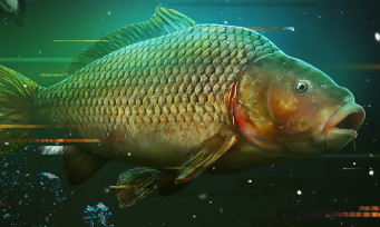The Catch Carp & Coarse : un jeu de pêche avec des poissons Boss Légendaires à attraper !