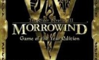 Un remake graphique de The Elder Scrolls III : Morrowind