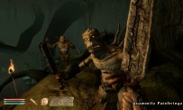The Elder Scrolls IV : Oblivion - Shivering Isles
