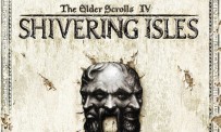 The Elder Scrolls IV : Oblivion - Shivering Isles