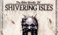 The Elder Scrolls IV : Oblivion - Shivering Isles