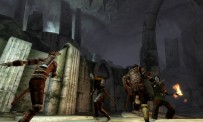 The Elder Scrolls IV : Oblivion