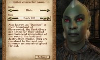 The Elder Scrolls IV : Oblivion