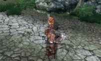 The Elder Scrolls IV : Oblivion