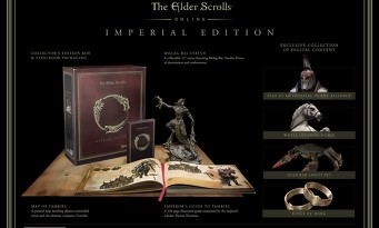 Elder Scrolls Online