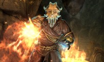 The Elder Scrolls V : Skyrim - Dragonborn