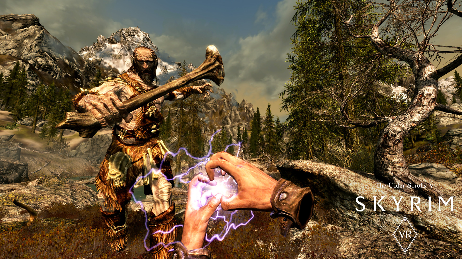 The Elder Scrolls 5 Skyrim VR