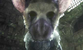 The Last Guardian VR