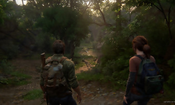 The Last of Us Remake